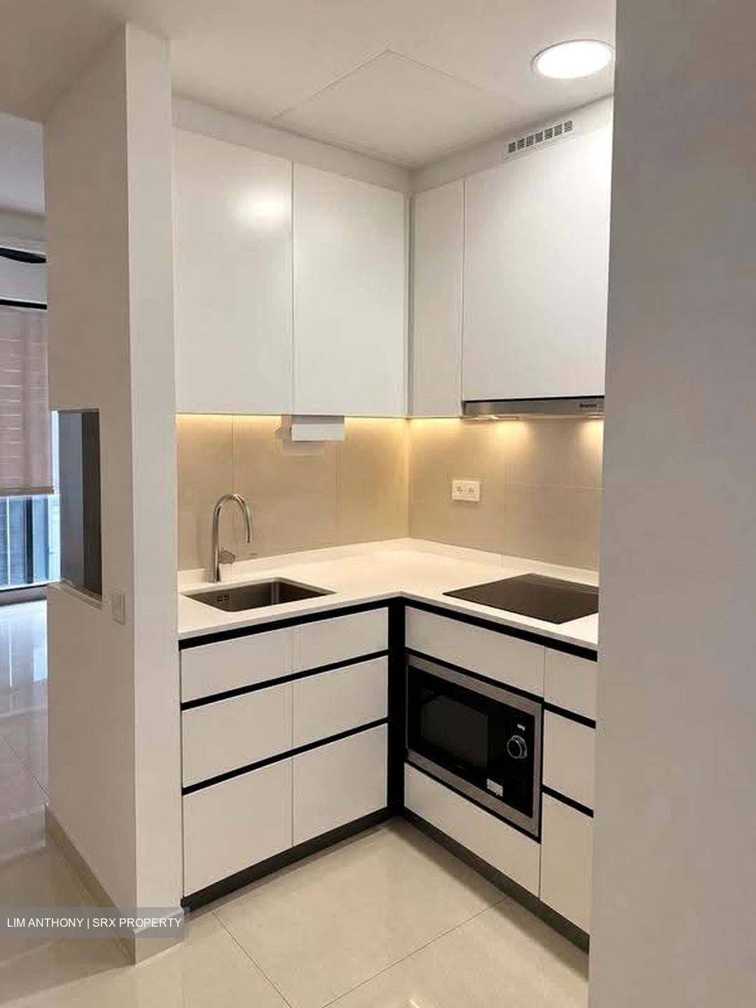 Parc Botannia (D28), Condominium #627038811